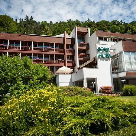 Flora Hotel 3*
